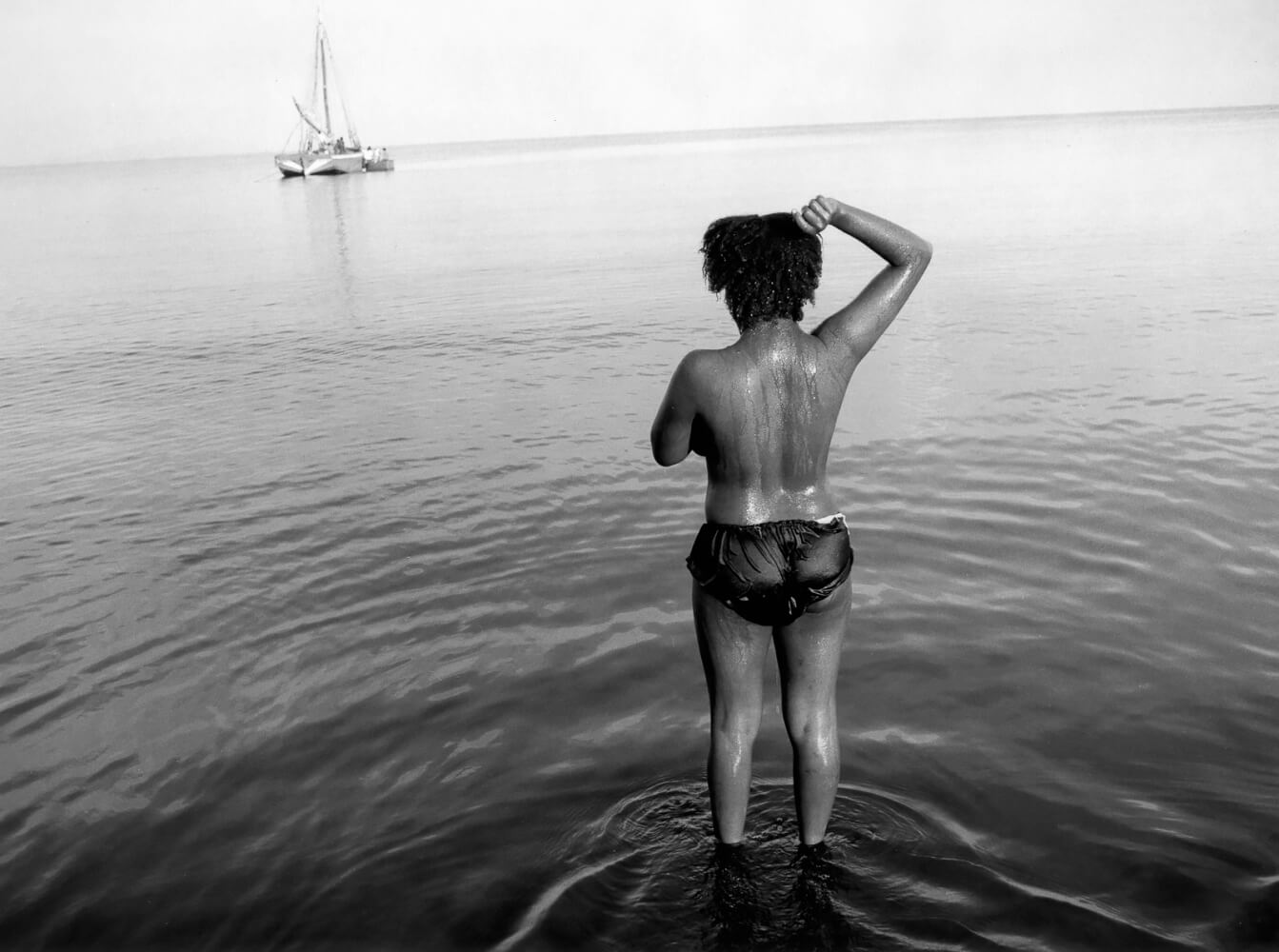 The Island<p>© Michelle Frankfurter</p>