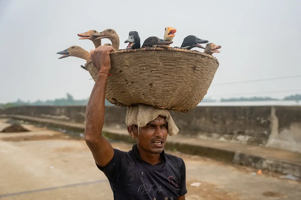 Duck Seller<p>© Mohammad Foisal</p>