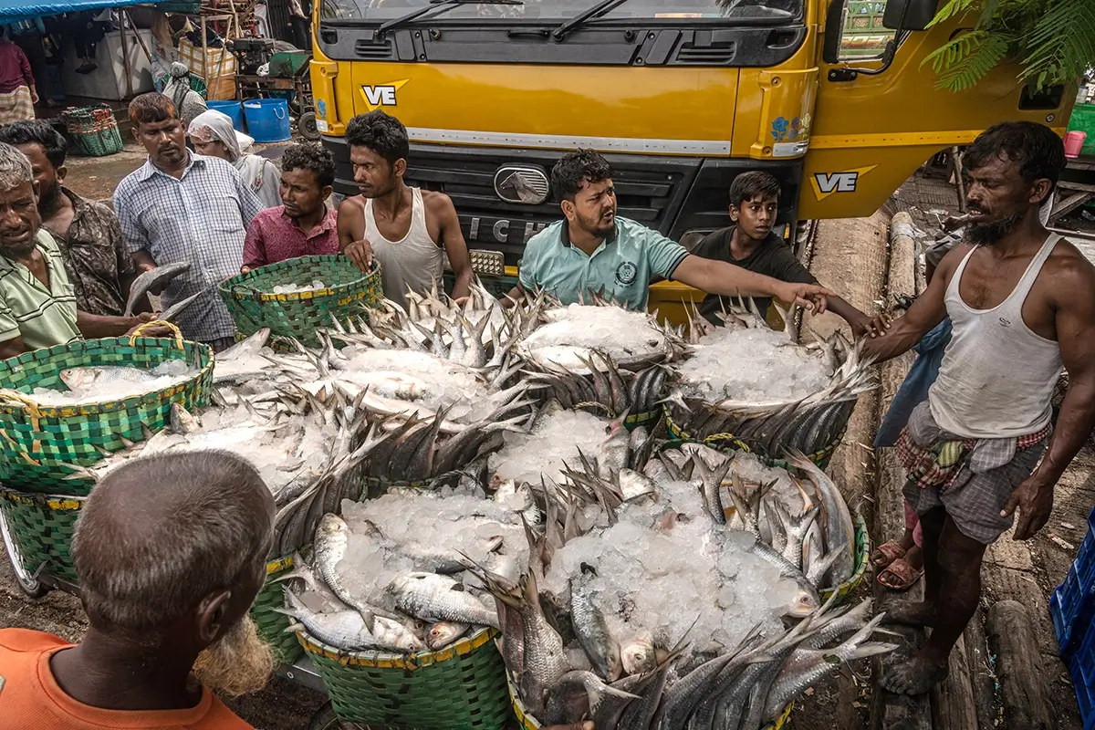 Chaos in the fish market<p>© Mohammad Foisal</p>