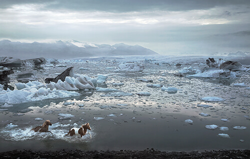 Icelandic Lagoon<p>Courtesy Peter Bailey Production / © Tim Flach</p>