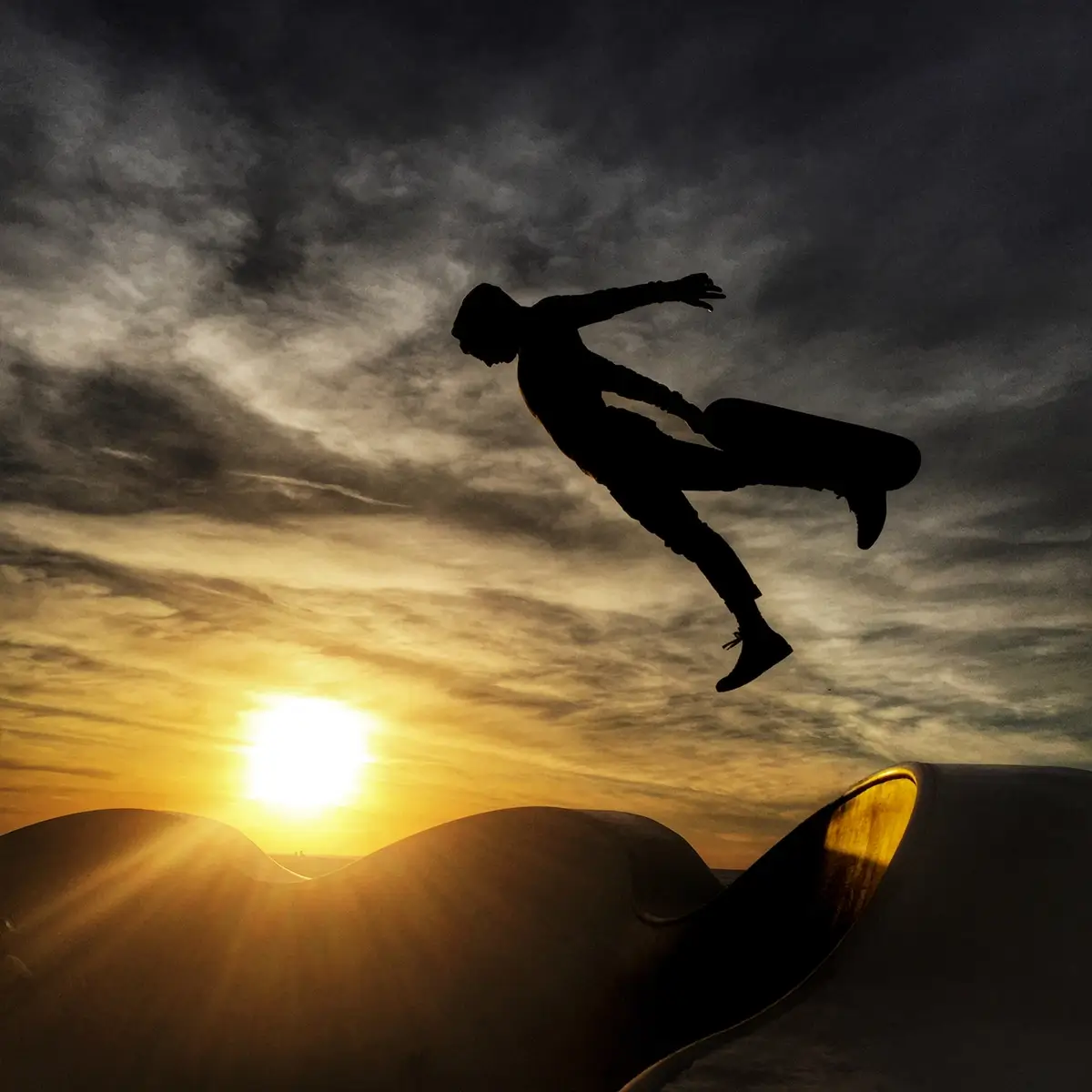 Icarus<p>© Alon  Goldsmith</p>