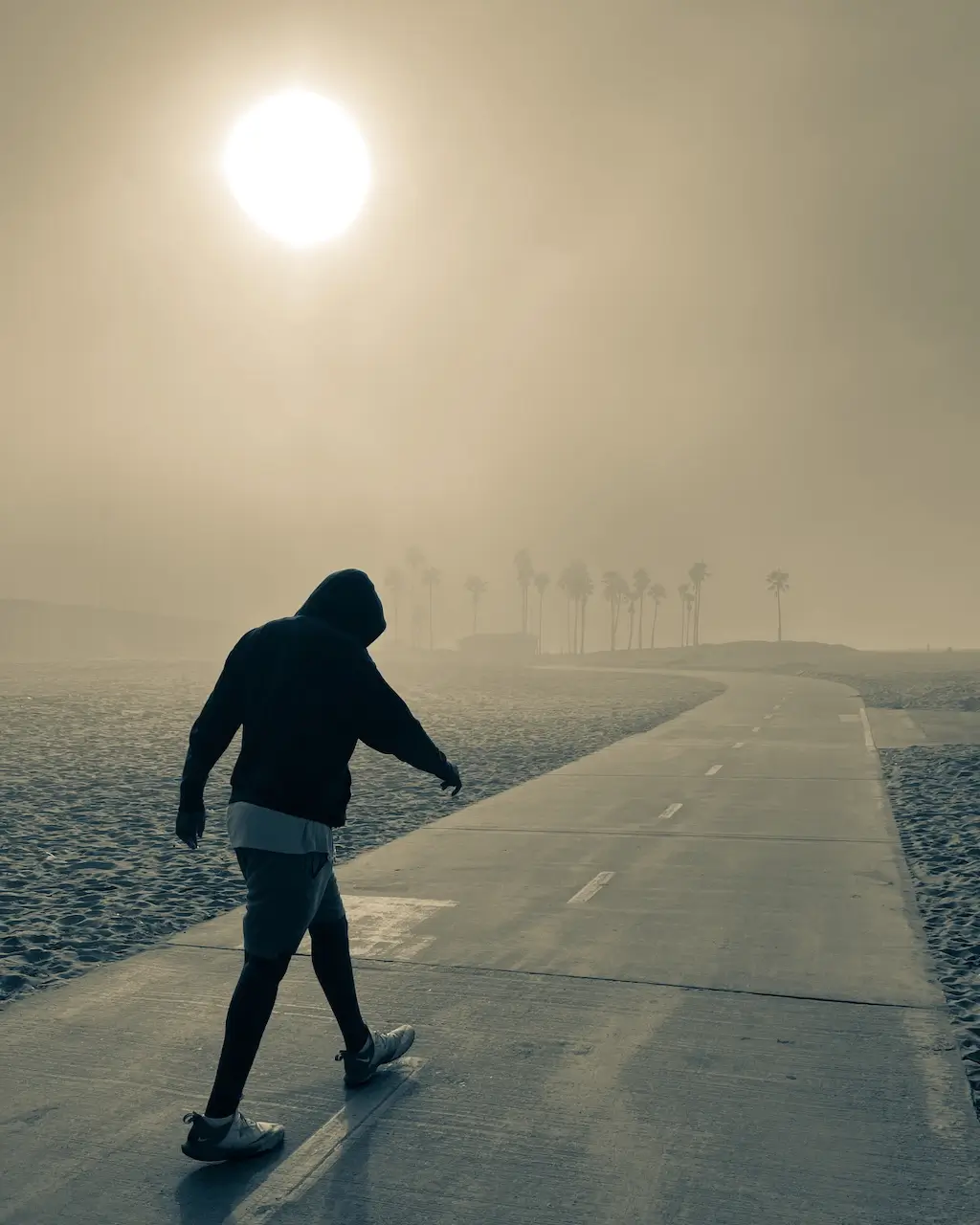 Into the Mystic<p>© Alon  Goldsmith</p>