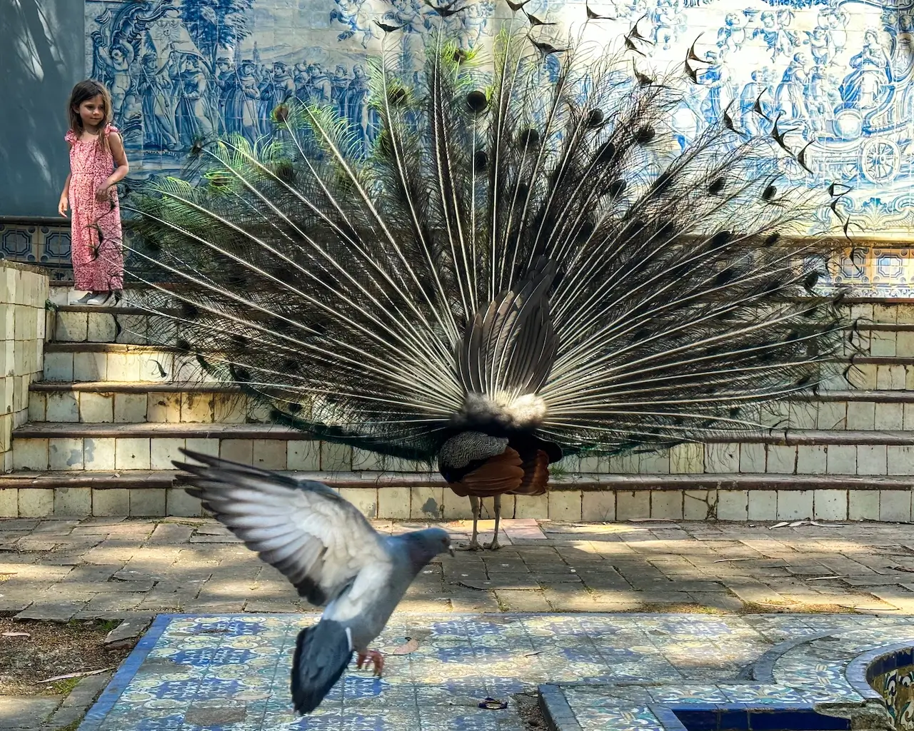 Backstage<p>© Alon  Goldsmith</p>