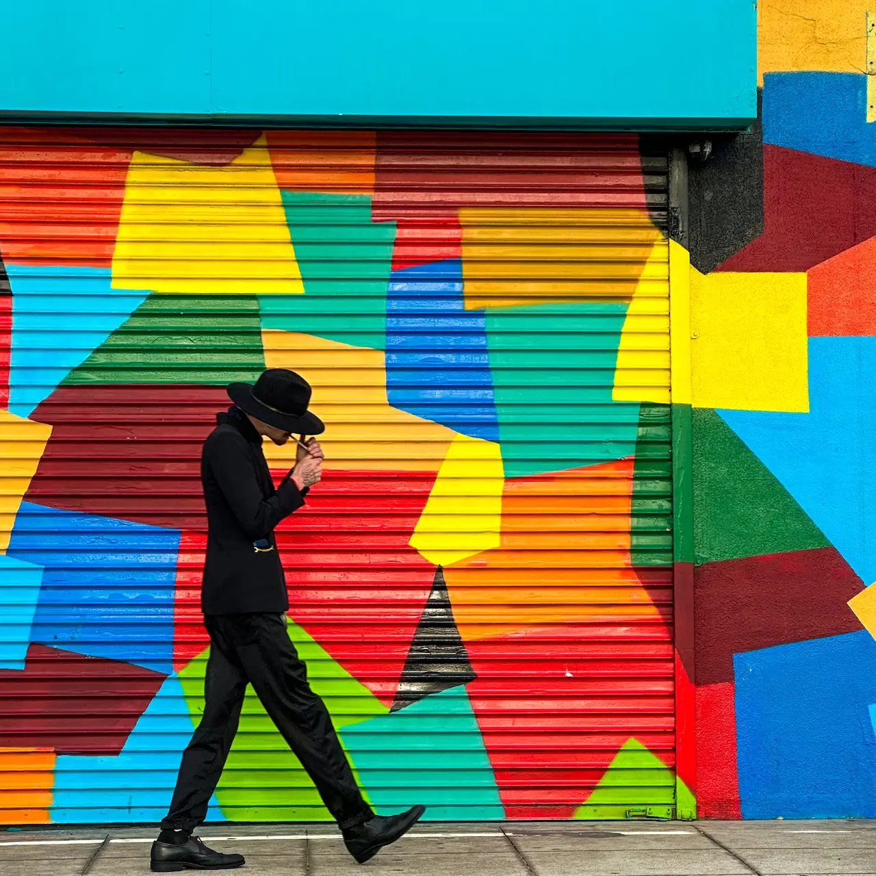 Backlit<p>© Alon  Goldsmith</p>