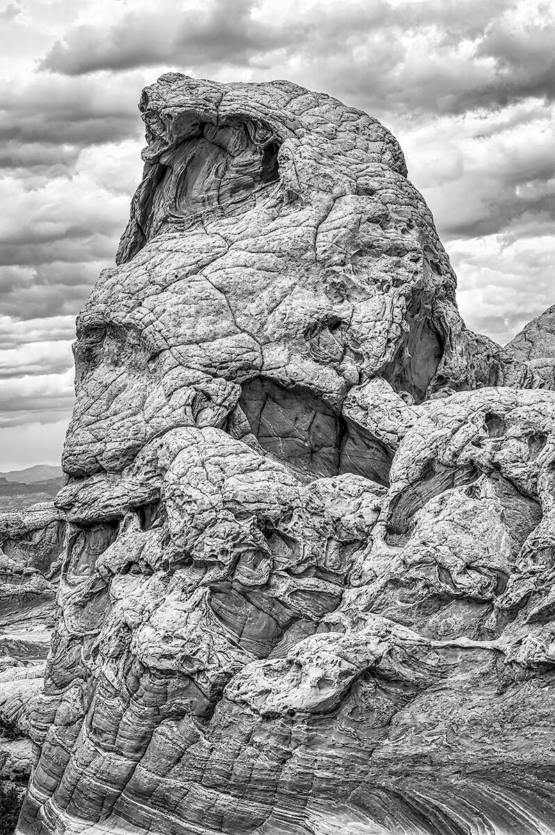 White Pocket Headdress<p>© Barry Guthertz</p>