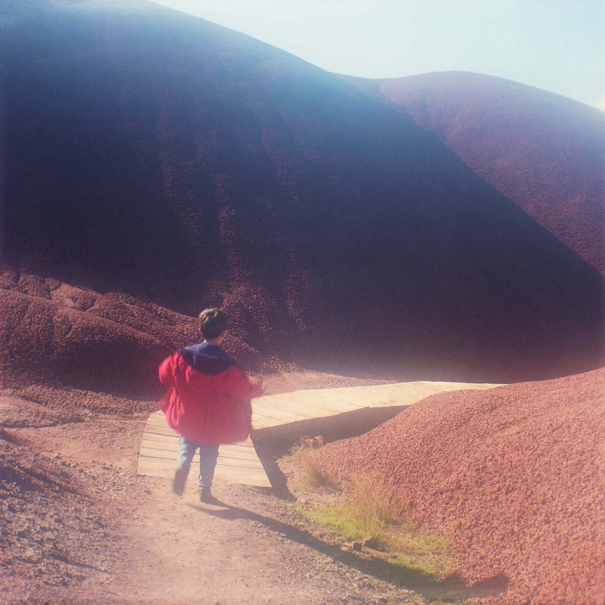 Sam, Painted Hills, 2000<p>© Carole Glauber</p>