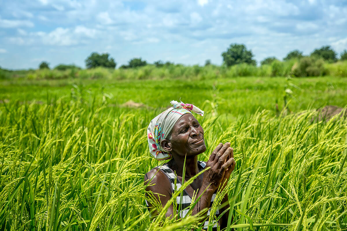 68 year old Alefa Tom thanks God as she stands in one of her maize fields near her house in Chikwawa District, southern Malawi<p>© Georgina Goodwin</p>