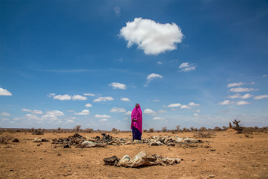 Amina Suleiman Gas, 45 stands by the carcasses of her dead animals, piled for burning outside the compound where she lived 10 years in Barwako village<p>© Georgina Goodwin</p>