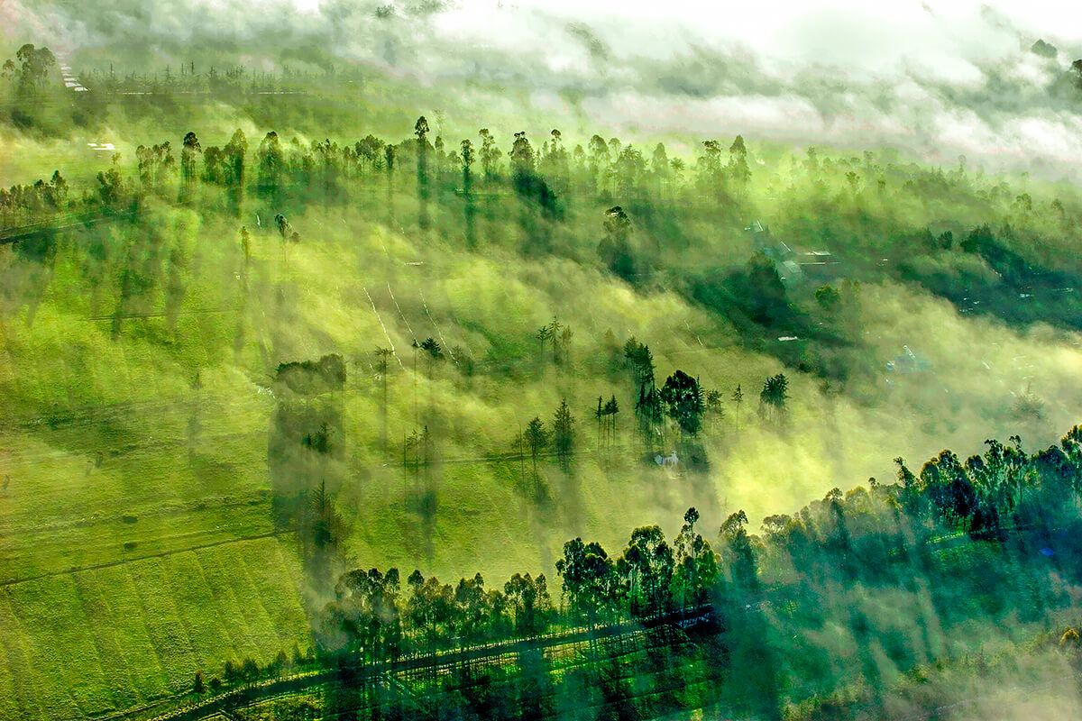 Aerial photo of sunrise and misty clouds over the tea farms of Tigoni just outside Nairobi, 2006<p>© Georgina Goodwin</p>