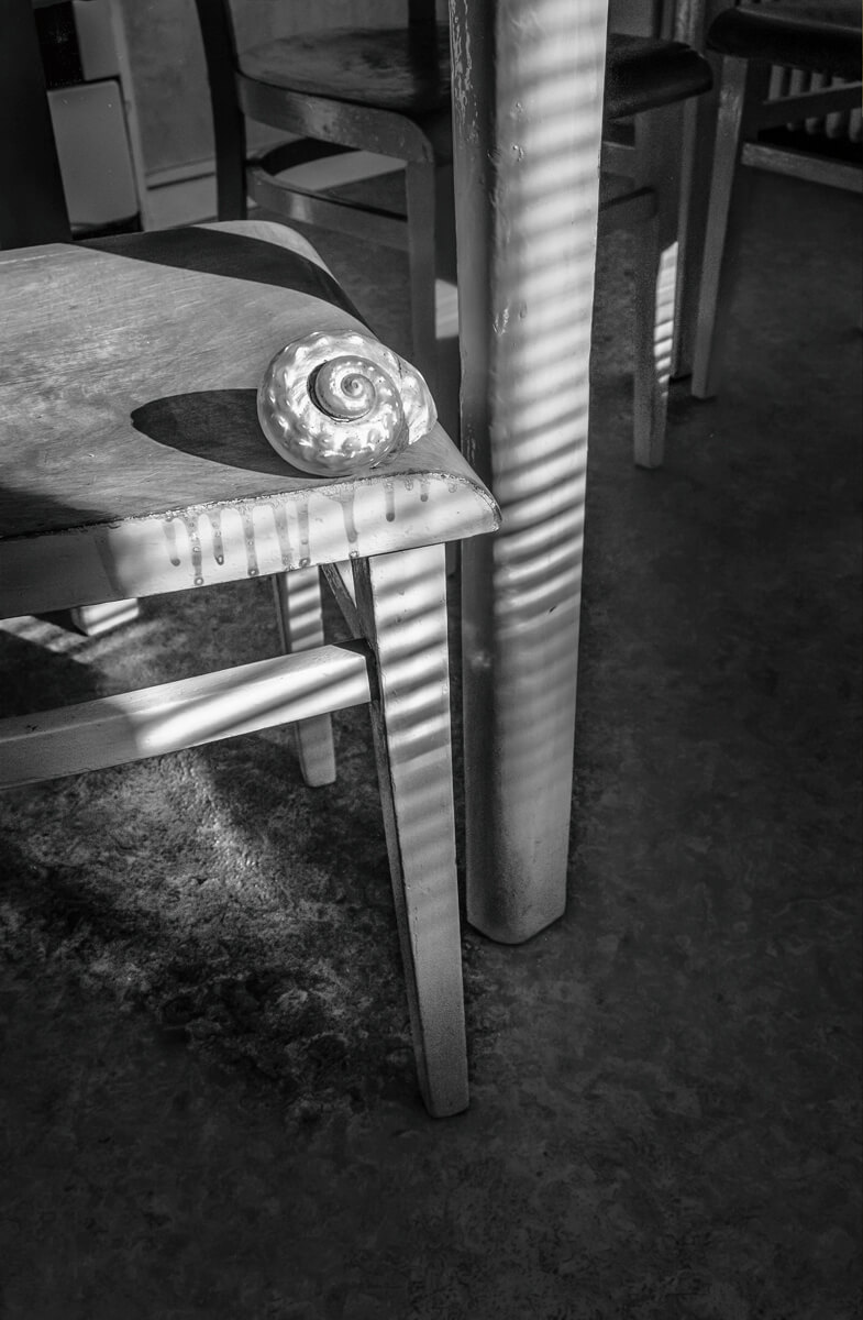 Snail shell on chair<p>© Holger Goehler</p>