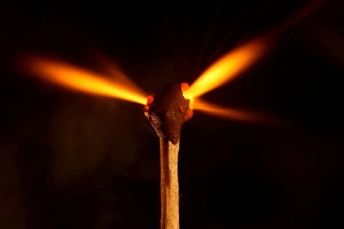 <p>© Igor Gladkov</p>