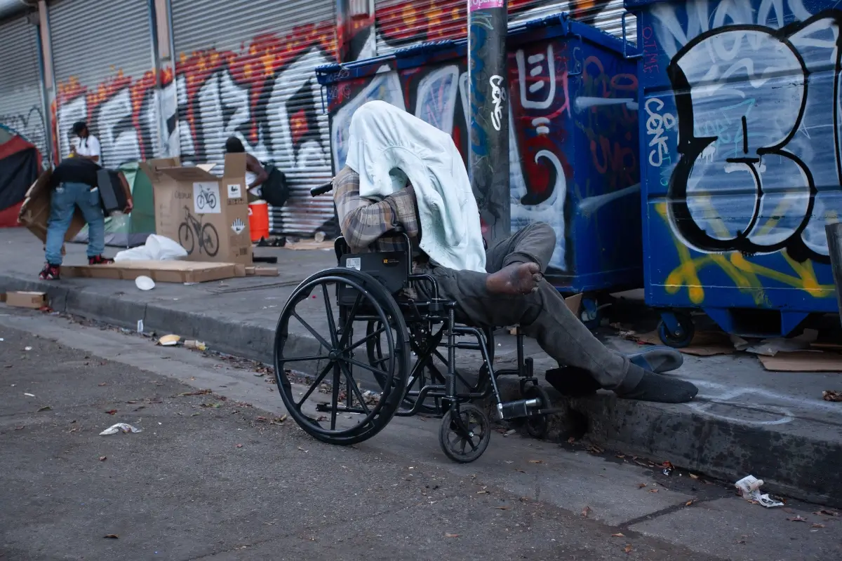 <p>© Igor Gladkov</p>