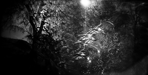 Unseen illuminated<p>© J.M. Golding</p>