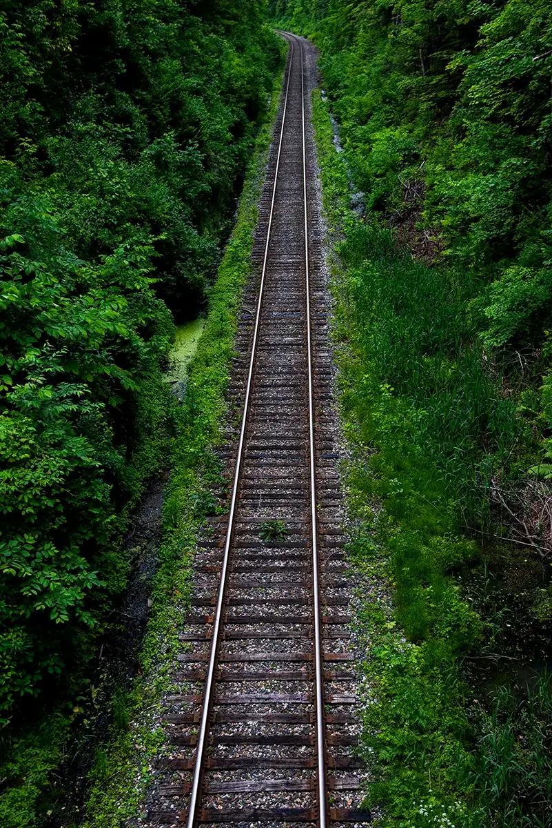 <p>© Joe Goldberg</p>