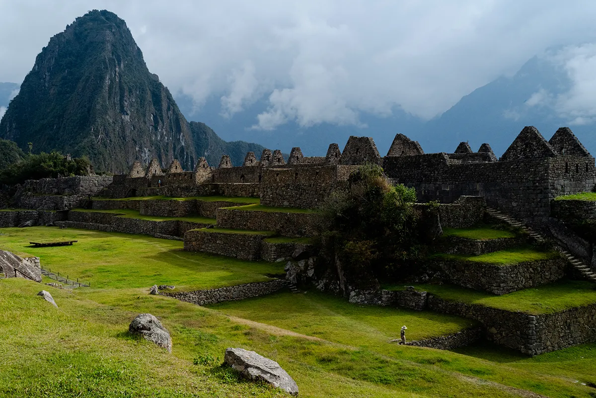 <p>© Joe Goldberg</p>