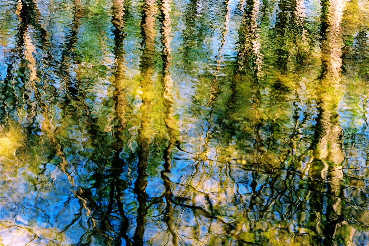 <p>© Joe Goldberg</p>