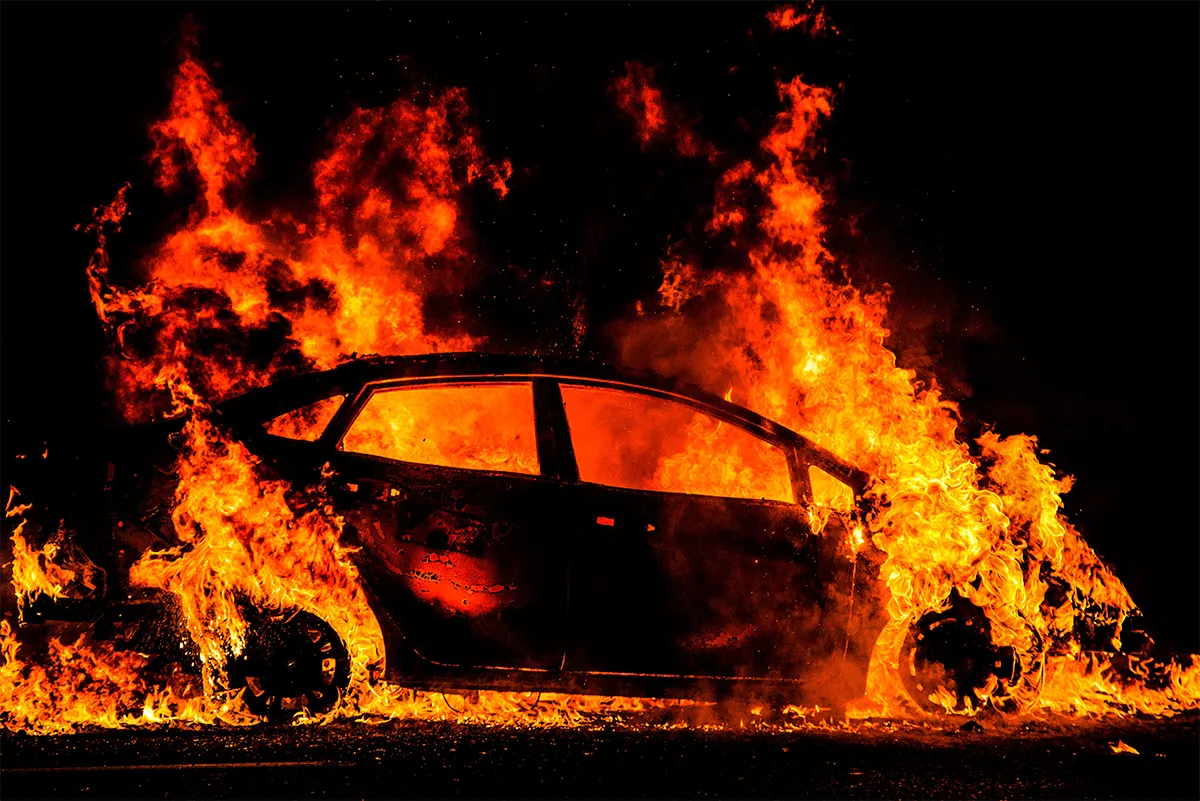 <p>© Joe Goldberg</p>