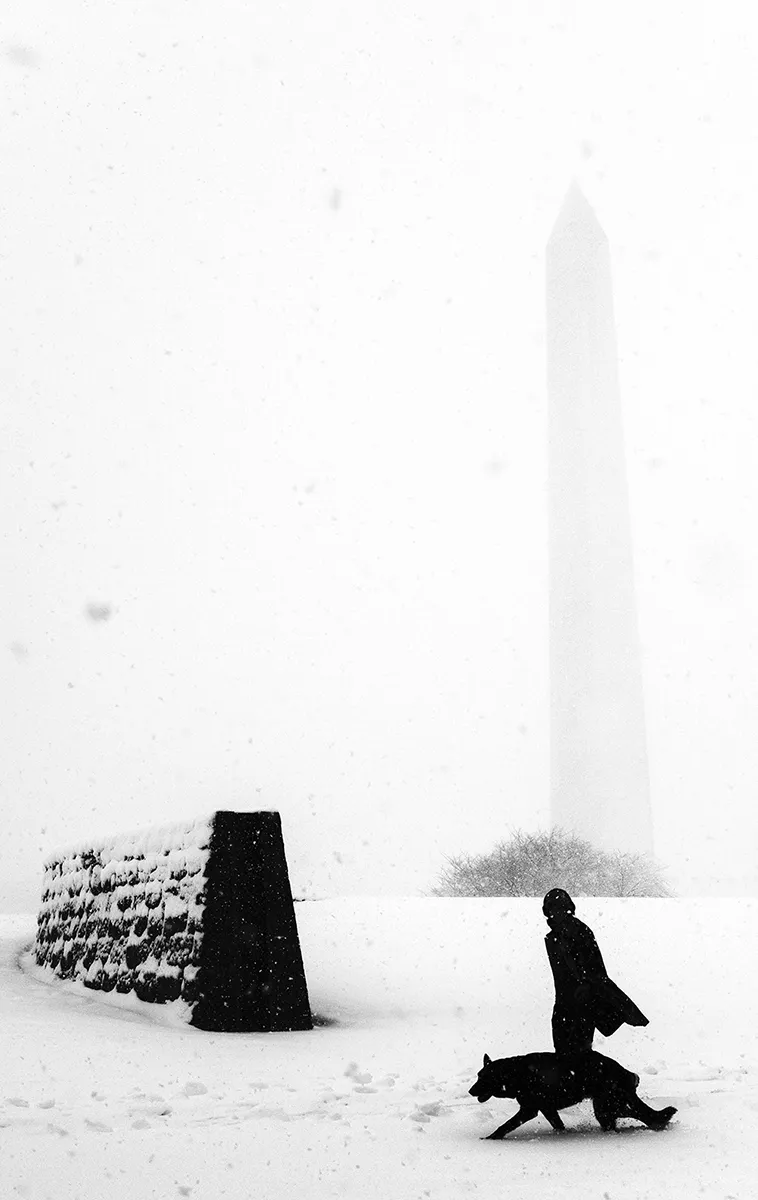 <p>© Joe Goldberg</p>