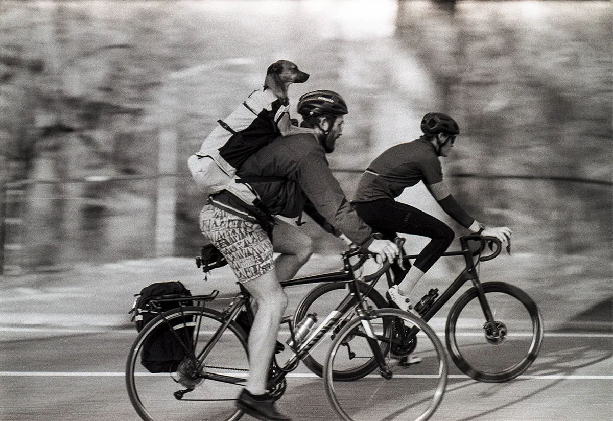 <p>© Joe Goldberg</p>