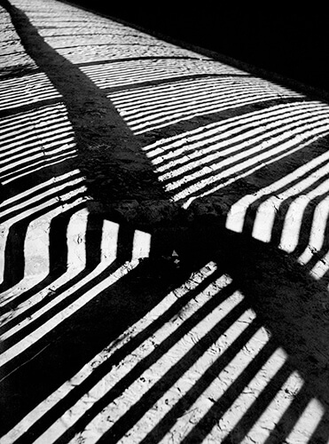 Estudio de sombra, c. 1950<p>© Marcel Giró</p>