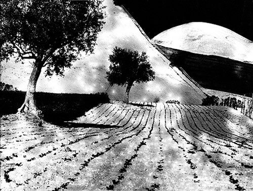 <p>© Mario Giacomelli</p>