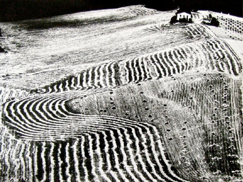 <p>© Mario Giacomelli</p>