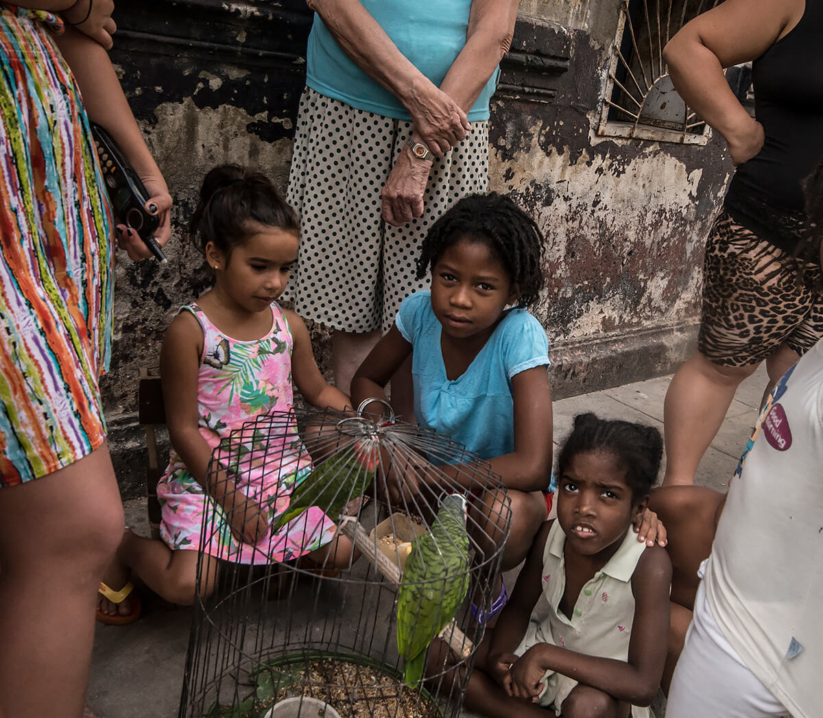 Cuba nina con cotorra 2016<p>© Orestes Gonzalez</p>