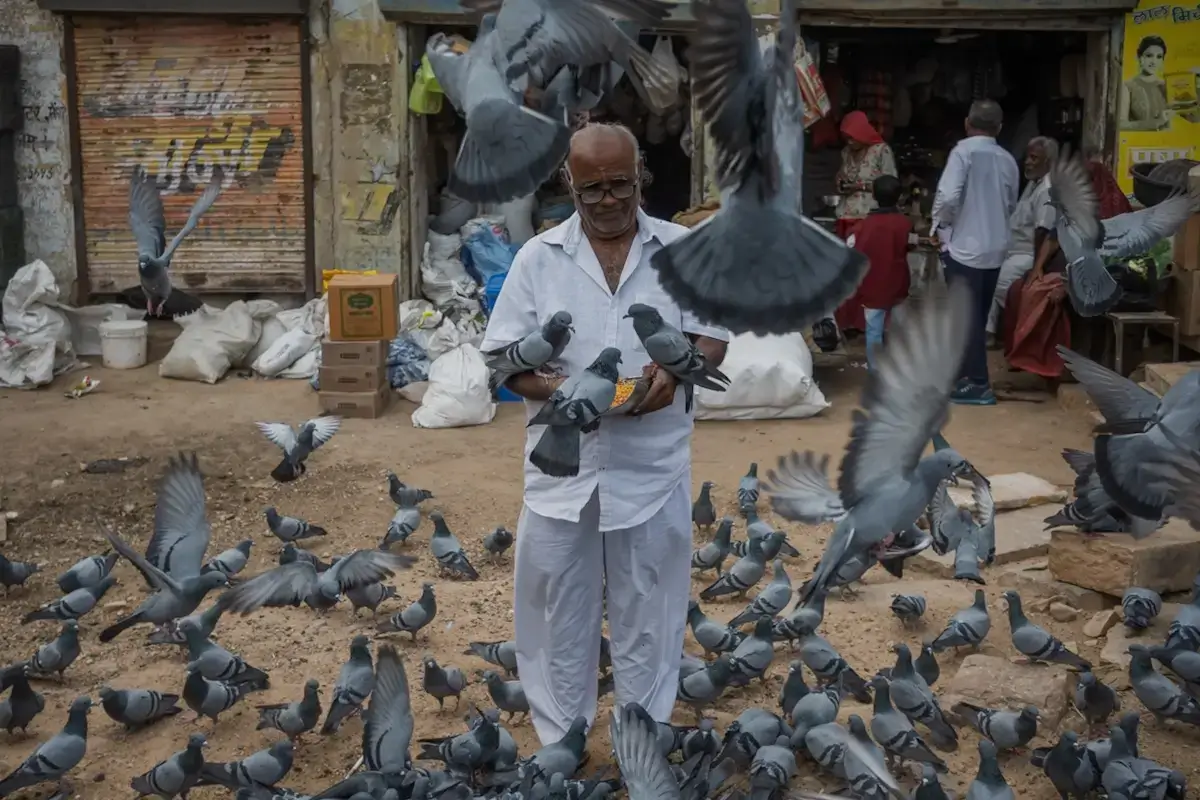 India<p>&copy; Oscar González</p>