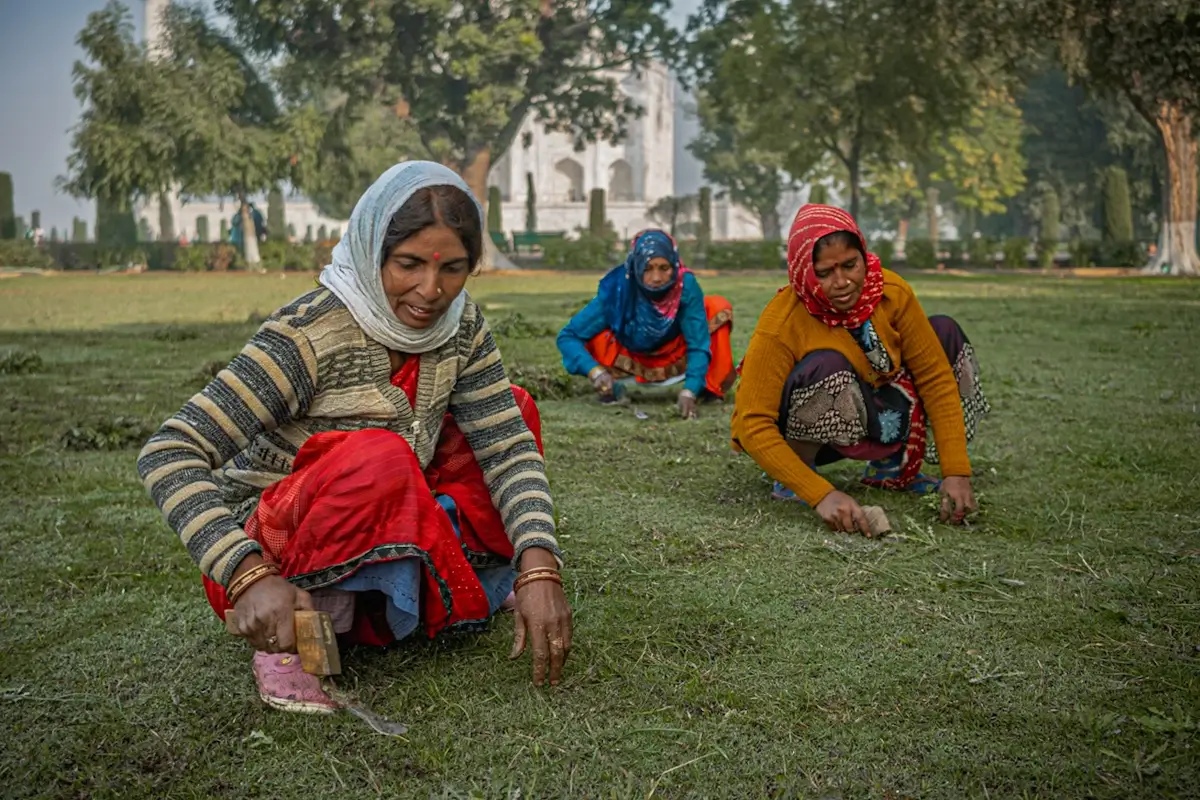 India<p>&copy; Oscar González</p>