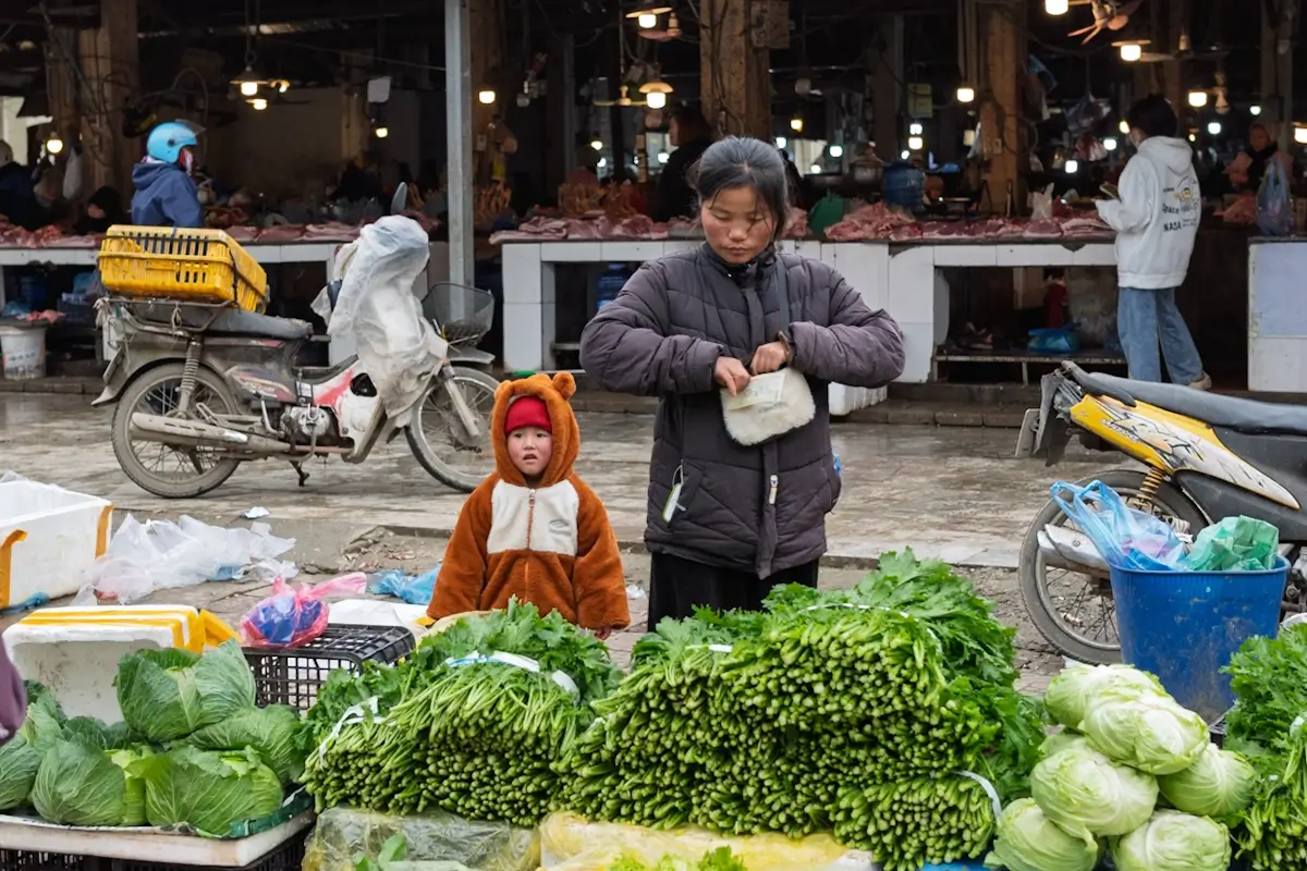 <p>&copy; Oscar González</p>