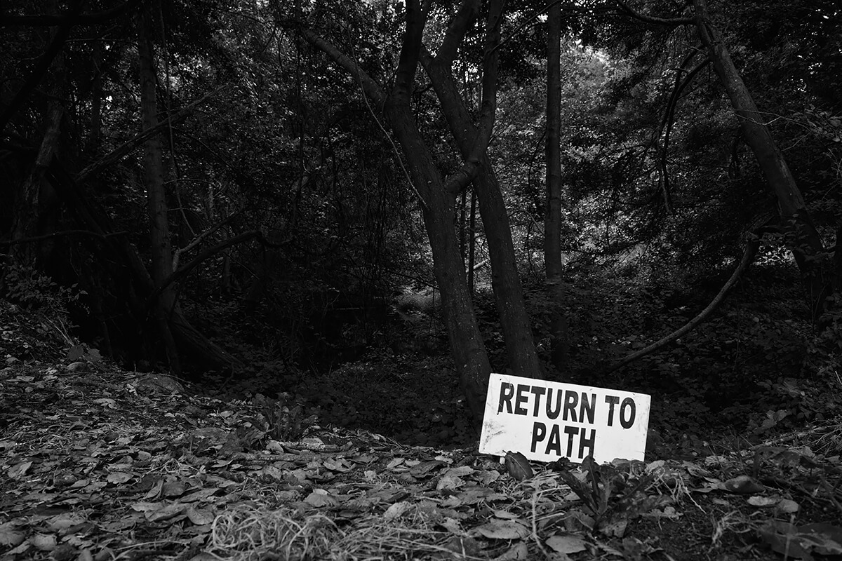 Return to Path<p>© Paul Gibert</p>