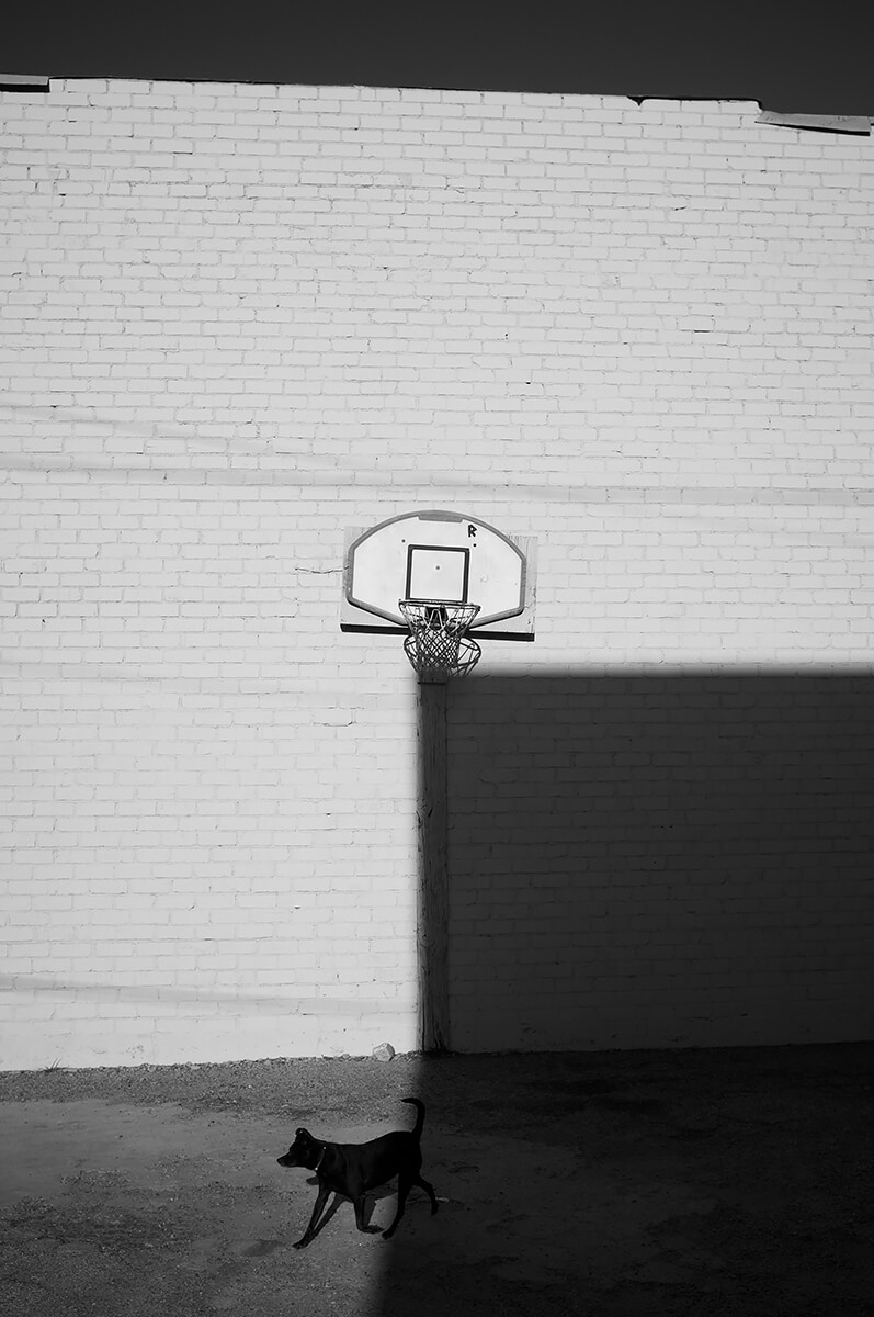 Shadow Hoop Teddy<p>© Paul Gibert</p>