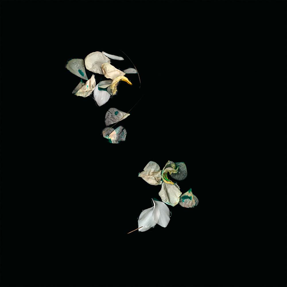 The Fine Art of Letting Go - One in Every Colour<p>© Shira Gold</p>
