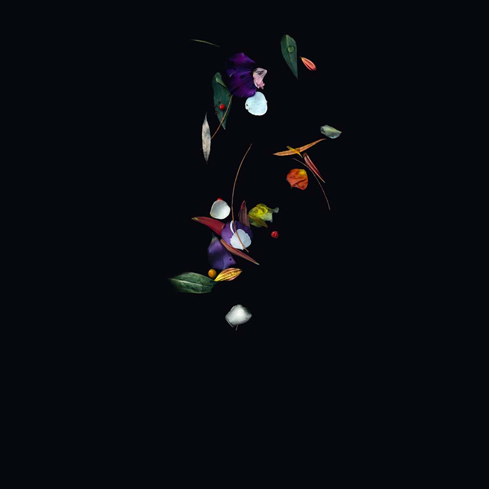 The Fine Art of Letting Go - Soma<p>© Shira Gold</p>