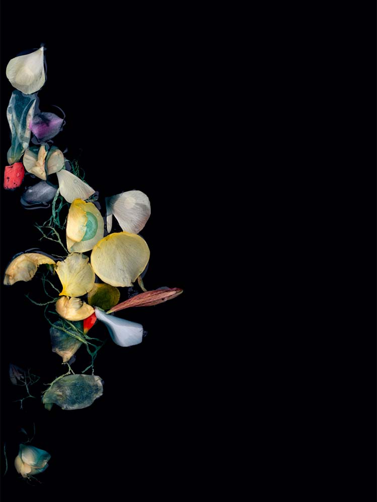 The Fine Art of Letting Go - Fools Gold and Finer Things<p>© Shira Gold</p>