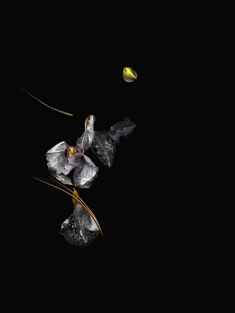 The Fine Art of Letting Go - Underneath It All<p>© Shira Gold</p>