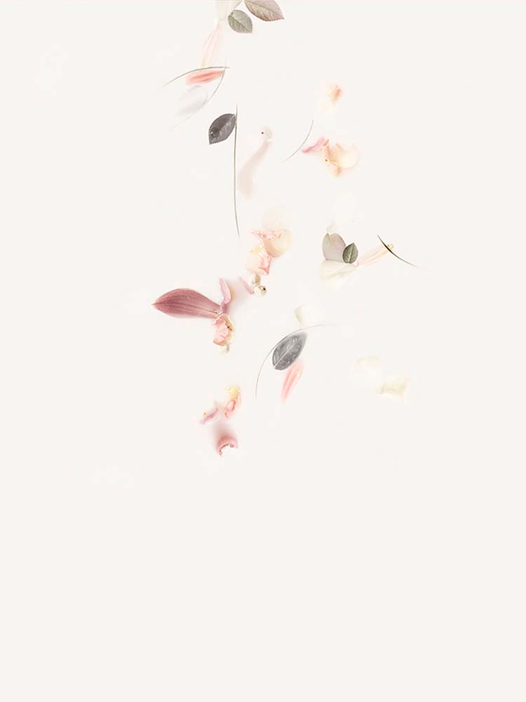 The Fine Art of Letting Go - Reign Down<p>© Shira Gold</p>