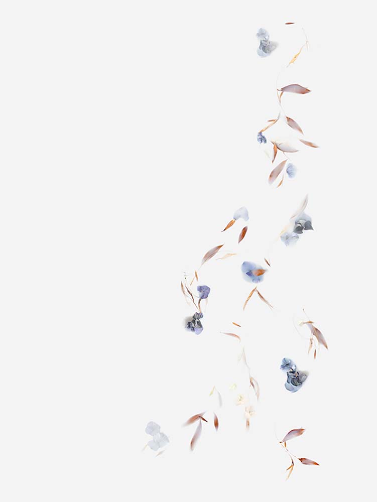 The Fine Art of Letting Go - The Letdown<p>© Shira Gold</p>