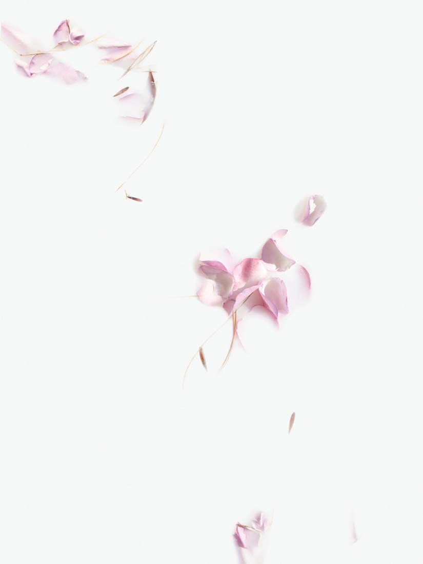 The Fine Art of Letting Go - Which Way is Up<p>© Shira Gold</p>