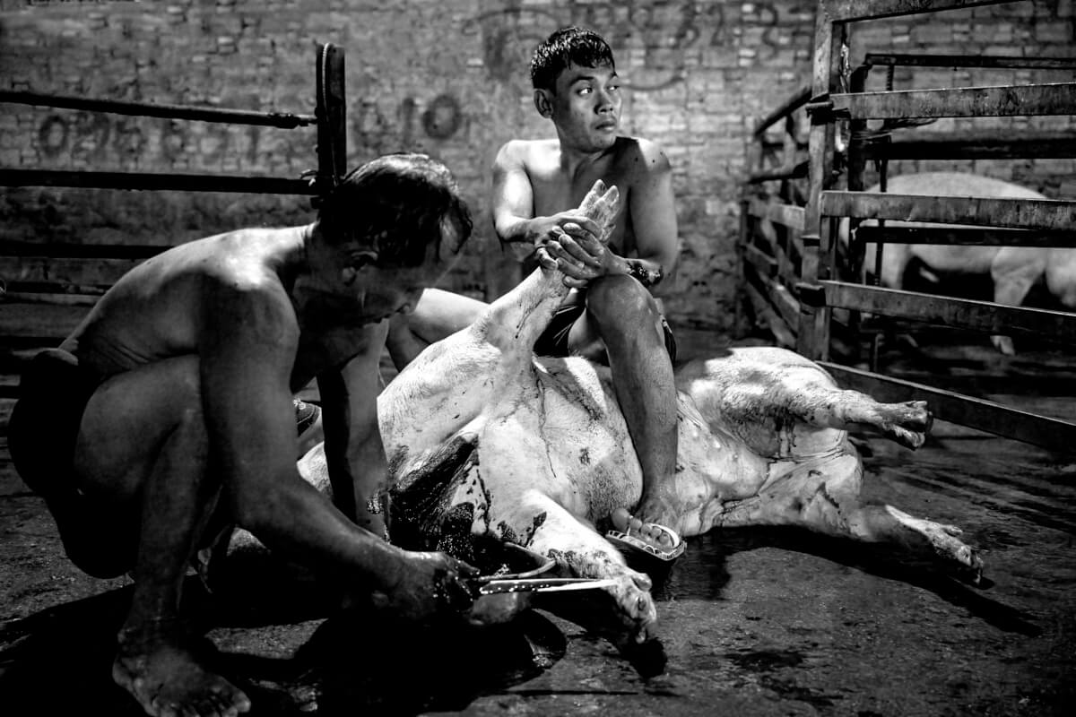 Meat, Cambodia 2022<p>© Steff Gruber</p>