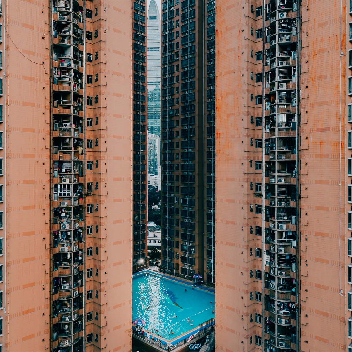 Shenzhen pool time<p>© Vitaly Golovatyuk</p>