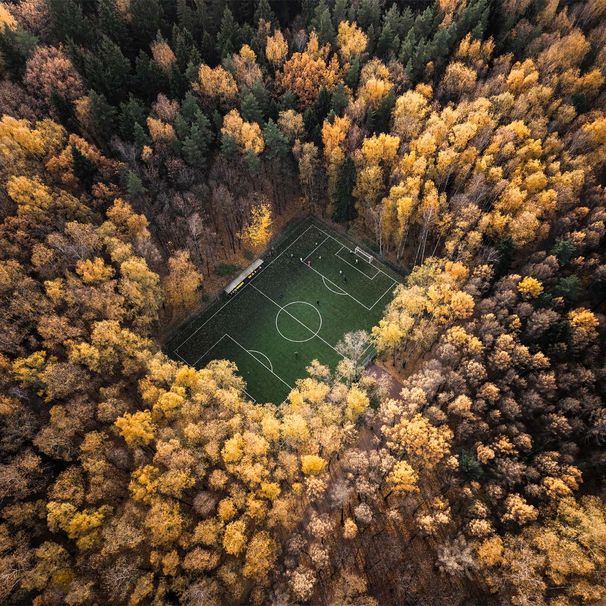 Autumn on stadium deep in the woods<p>© Vitaly Golovatyuk</p>
