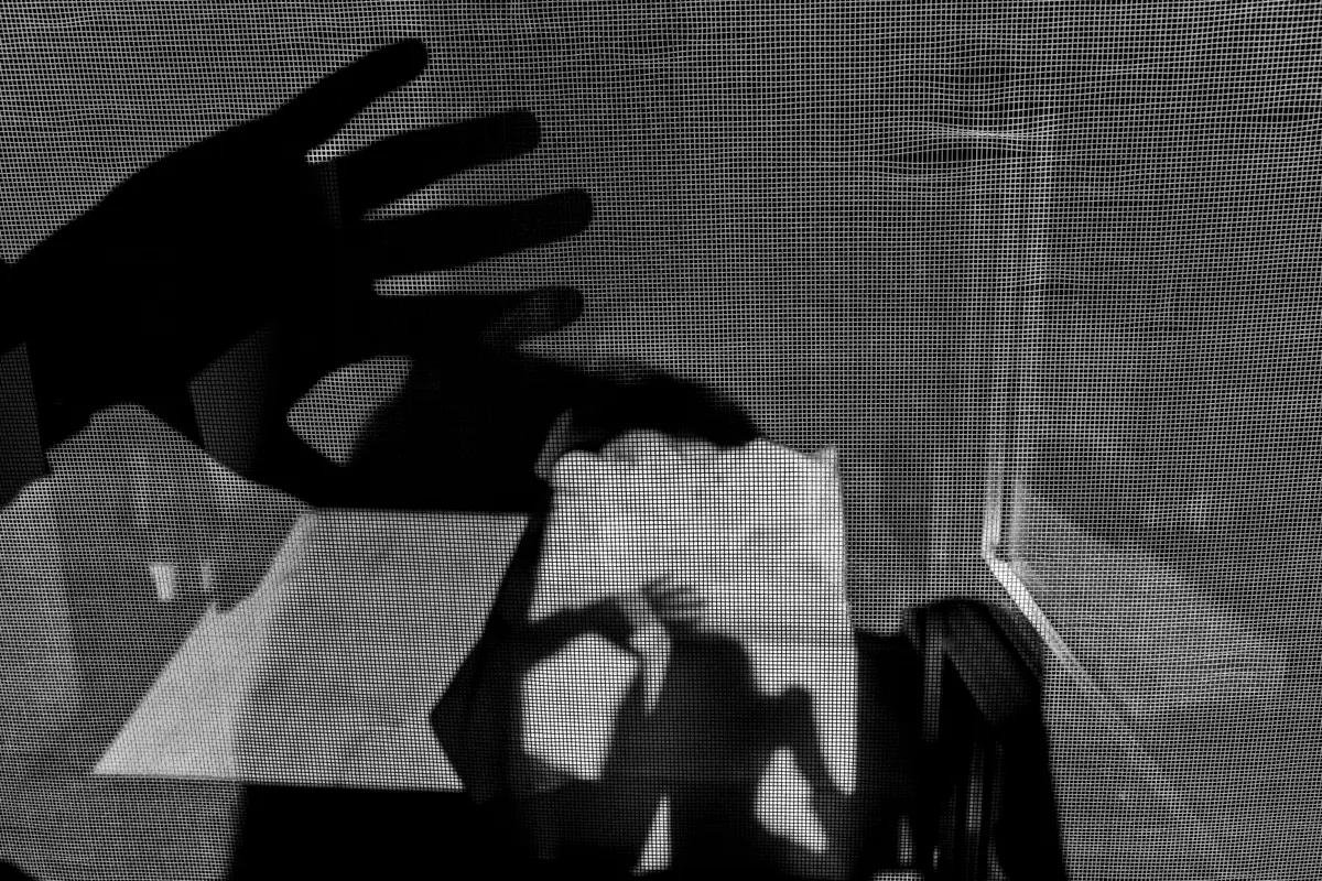 <p>© Yanitsa Genova</p>