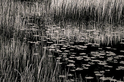 The Tarn 57, Acadia National Park, Maine, 2013<p>© Alan Henriksen</p>