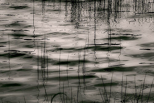 Upper Hadlock Pond 60, Acadia National Park, Maine, 2013<p>© Alan Henriksen</p>