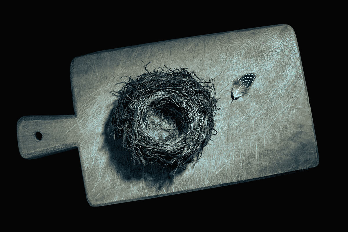 Empty Nest<p>© Barbara Hazen</p>
