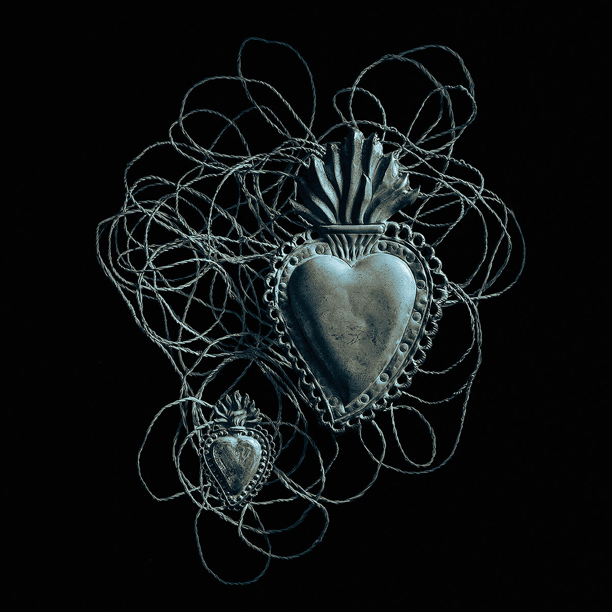 Heart Strings<p>© Barbara Hazen</p>