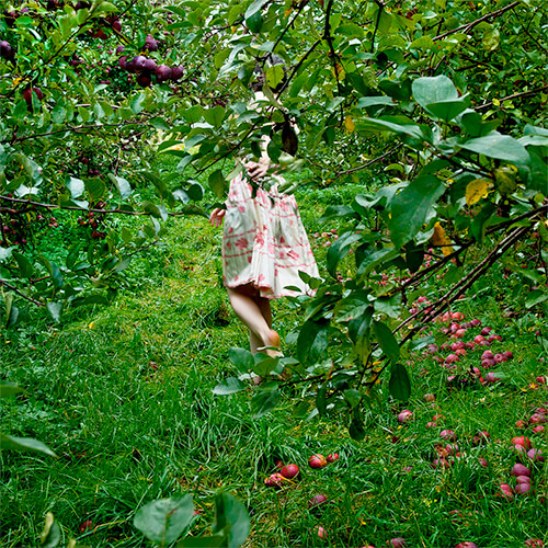 The Orchard<p>© Cig Harvey</p>