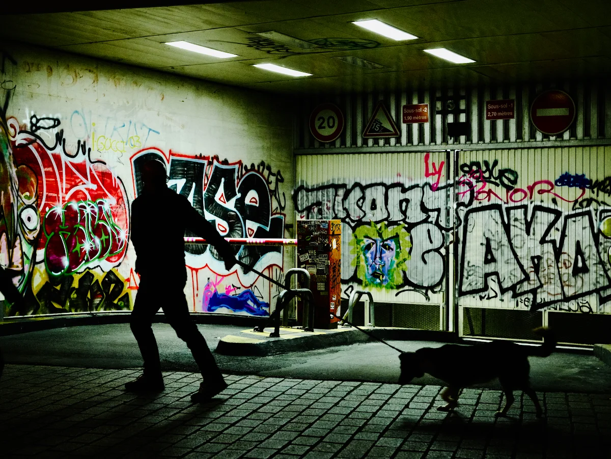 <p>&copy; Erik Hadife</p>