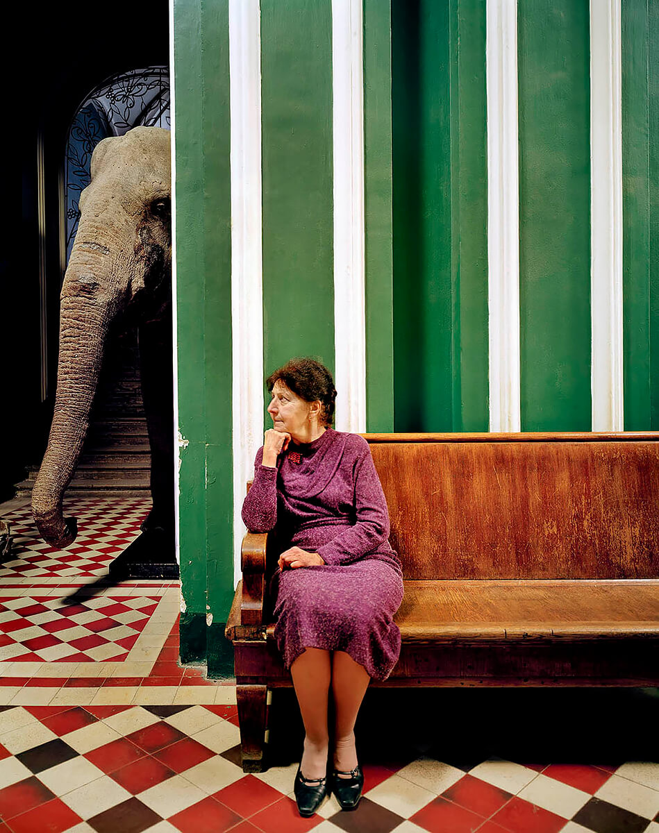 Elephant I, 2005<p>© Frank Herfort</p>